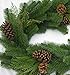 Fine Expectations Juniper Pine Garland, 9' by 14
