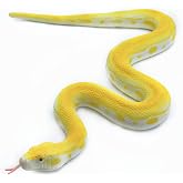 SIENON Realistic Golden Python Figure Fake Snakes Toy | Soft Rubber Snake Figurine Garden Scare Birds Squirrels, Stress Relief Gag Toys Halloween Decoration Party Favors Prank Props