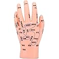 ZJchao Hand Acupuncture Model, Hand Acupuncture Point Model Left Hand Accurate Acupoint Teaching Hand Model Hand Acupoint Massage Area Teaching Tool Acupoint Anatomy Model for Teaching Learning