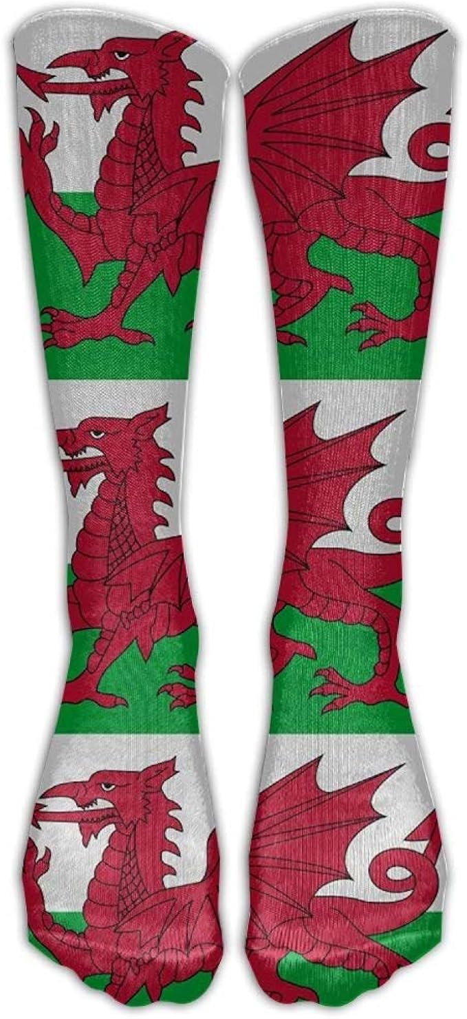 Welsh Dragon Flag Casual Unisex Sock Knee Long High Socks Sport