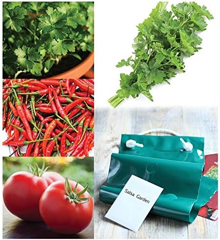 Blooming Plantables Vertical Garden, Salsa Collection, Set of 3