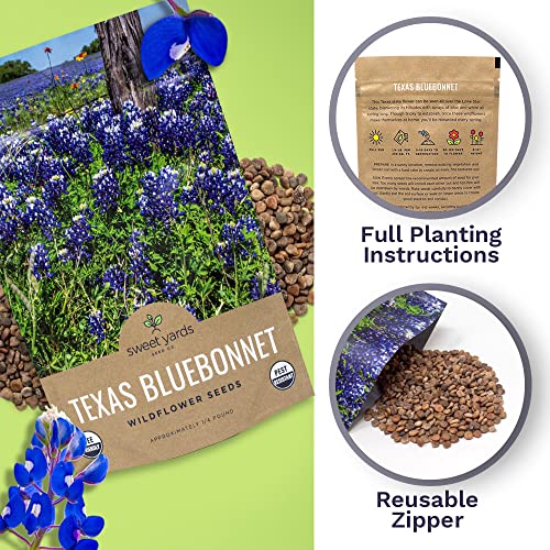 Texas Wildflower Seeds Bulk 1/4 Pound Bag Over 4,000