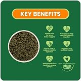 Excel Burgess Guinea Pig Nuggets with Mint 1.5 kg Green view 4