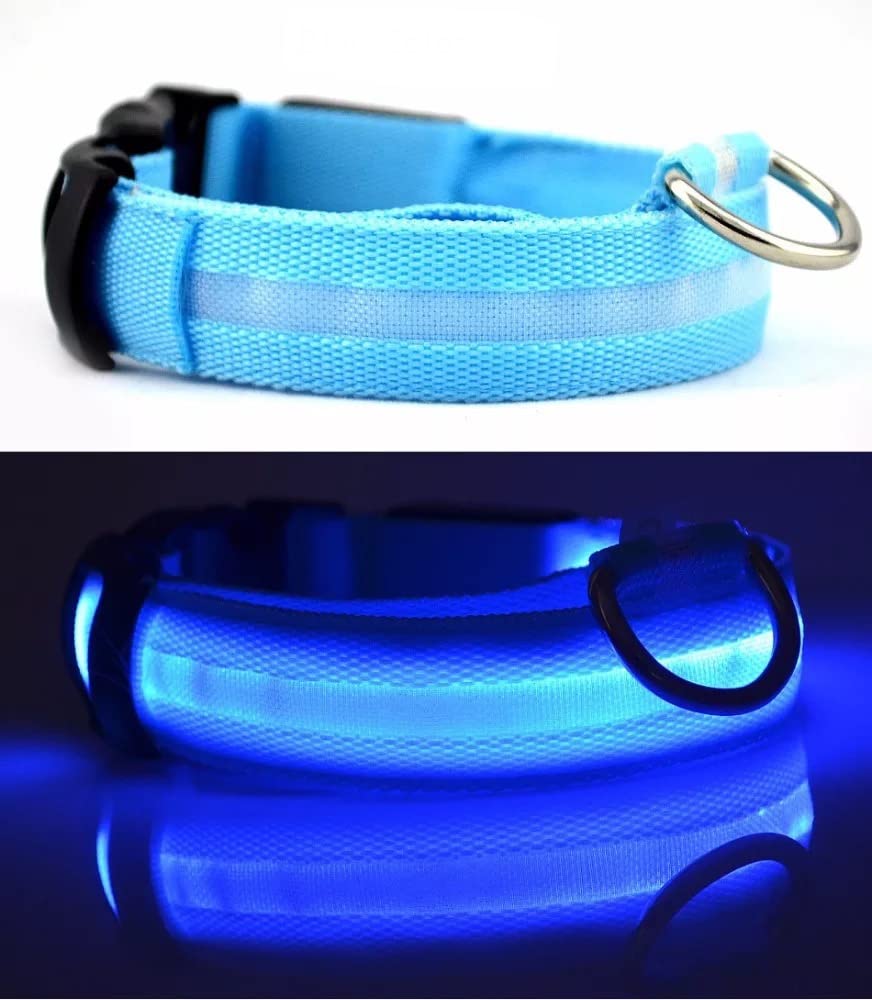 Led dog collar USB Rechargeable & Waterproof with 3 Flashing Modes, super bright (L, TURQUOISE)