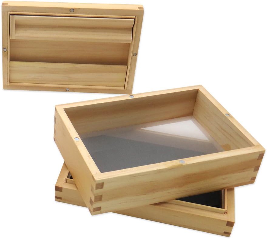 funny cat and dog photos