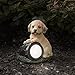 Yard Décor, Solar Outdoor LED Light and Battery Operated Statue for Garden, Patio, Lawn, and Yard by Pure Garden – Dog Statue