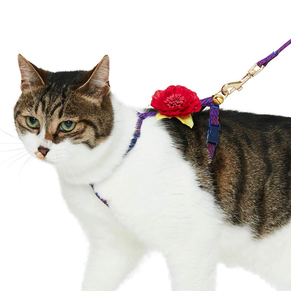 blueberry adjustable breakaway cat collar