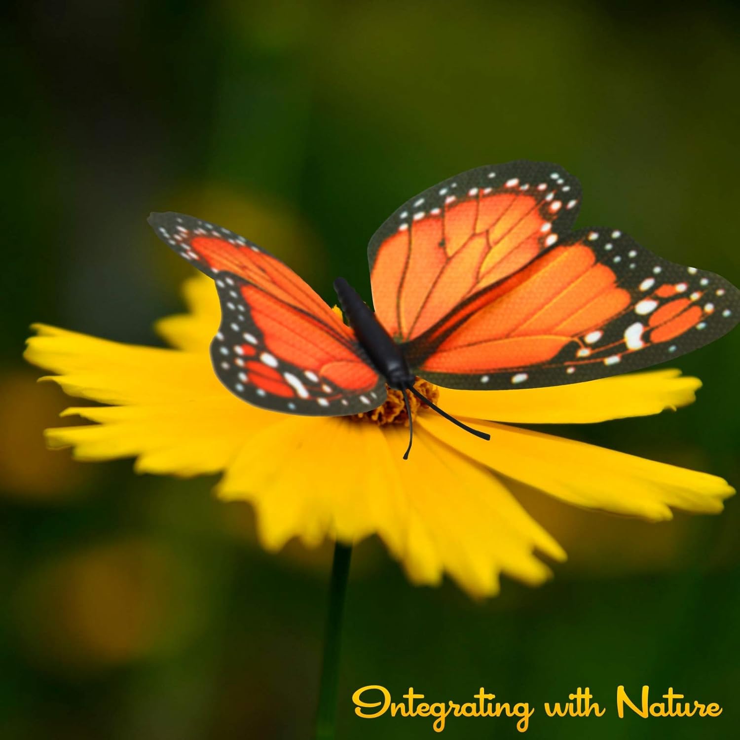 AQUEENLY Monarch Butterfly Decorations, 4.72'' Orange Premium Artificial Monarch Butterfly to Decorate for Craft, Home, Wall, Wedding, Party (12 Pcs): Home & Kitchen