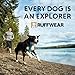 Ruffwear, Front Range Dog Harness, Reflective Soft Padded Everyday Harness with Dual Leash Clips, Adjustable and Lightweight Fit for Training or Walking for All Dogs, Tillandsia Purple, X-Small