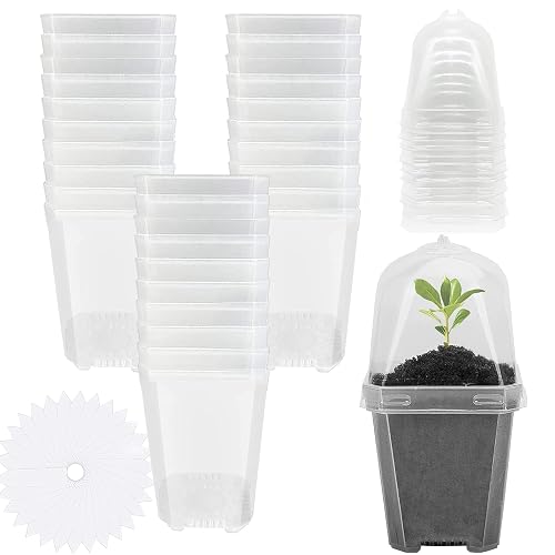 EBaokuup 30PCS Clear Plant Nursery Pots with Humidity Dome - 3