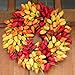 Blush Tulip Front Door Wreath 19 Inch - Stunning Spring Front Door Wreath