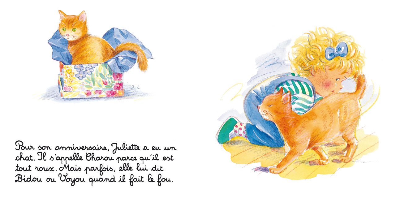 Juliette Joue Avec Son Chat La Bibliotheque Lauer Doris Amazon Com Books