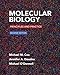 Molecular Biology: Principles and Practice