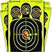 BEEWARE Targets - 12x18 ” Silhouette Reactive Splatter Targets for Shooting - for Indoor / Outdoor Ranges – Rifle – Pistol – Air Rifle - 22 – Pellet - BB Gun Practice