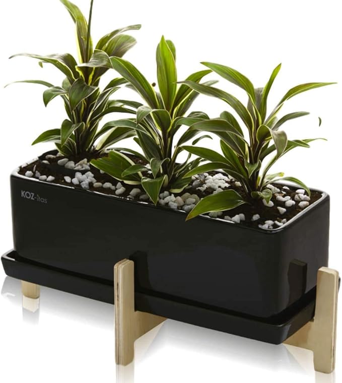 KOZitas Black 12 inch Rectangle Modern Minimalist Ceramic Succulent