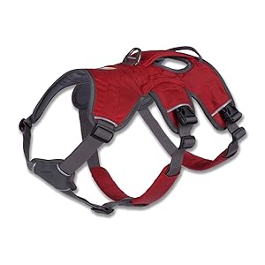 Ruffwear - Web Master Secure, Reflective, Multi-Use Harness for Dogs