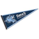 Baruch College Bearcats Pennant