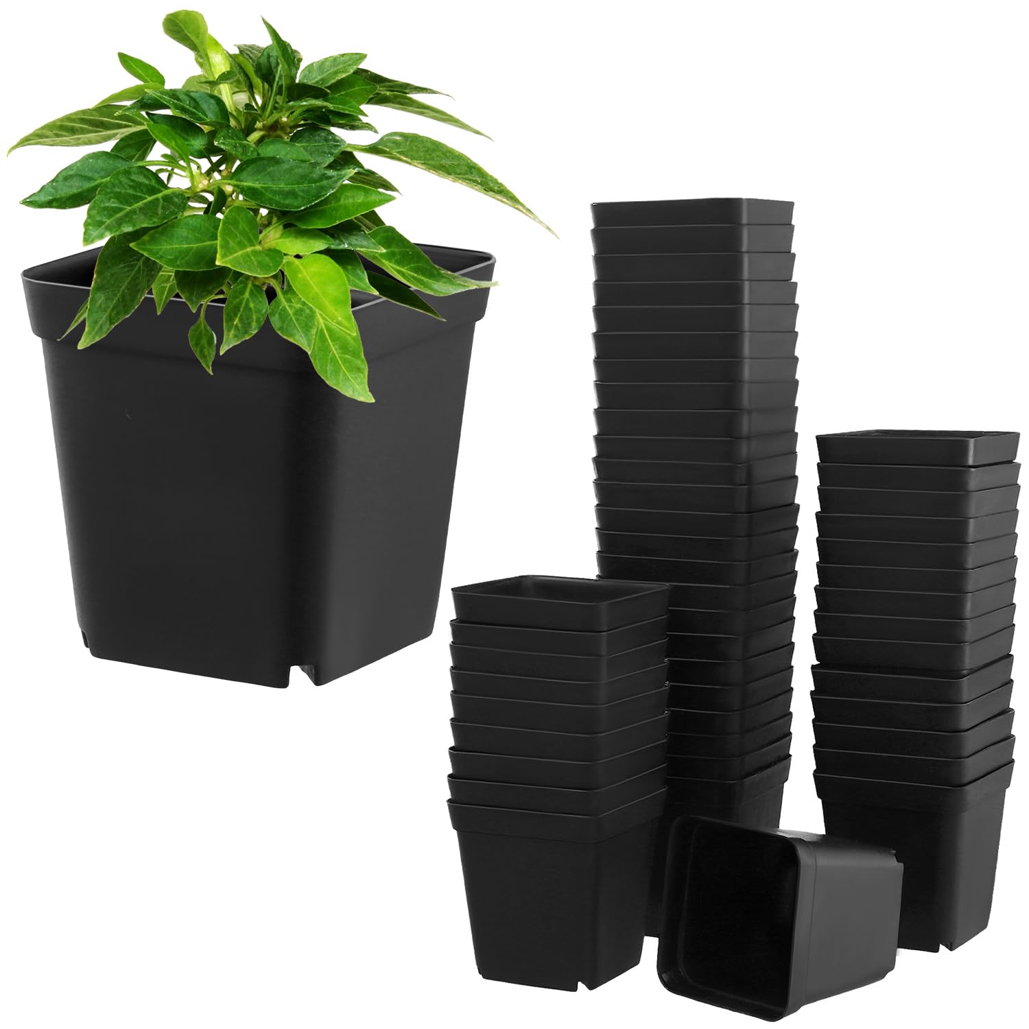 QWORK 100 Pack Square Plant Pots, 6cm Small Plastic Pots Nursery Pots for Seedlings Succulents Fruits Herbs Vegetables