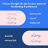 LAMY Safari Pink Fountain Pen LH M Nib with T 10 Blue Cartridge view 5