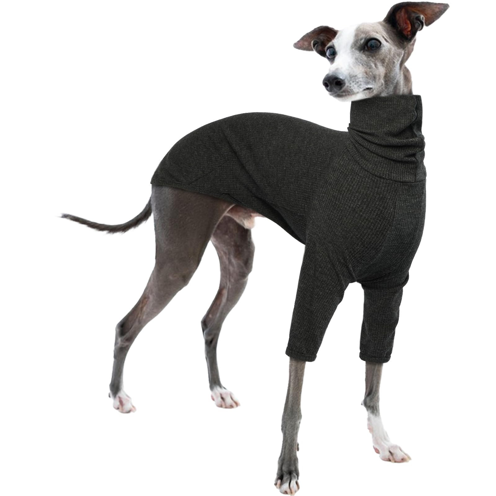 Lightweight Italian Greyhound Jumper, Whippet Pyjamas Whippet Jacket Italian Greyhound Clothes Dog Pullover Turtleneck(Grey, XS) — image 1