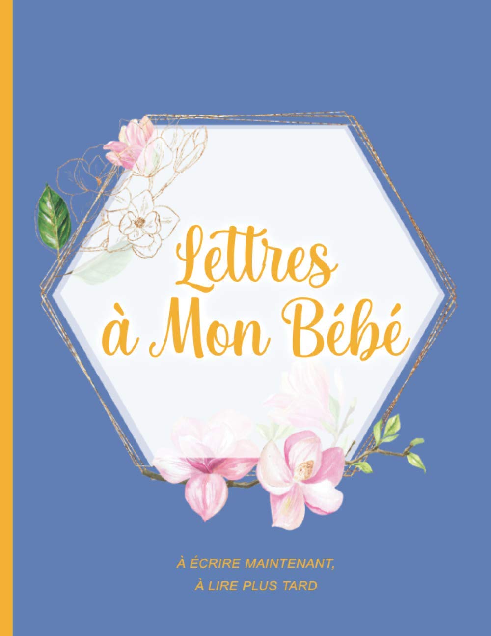 Lettres A Mon Bebe A Ecrire Maintenant A Lire Plus Tard Journal Ligne 1 Pages Decorees Format Fleur Bleu Rose Cadeau Naissance Noel Desilets Carine Amazon Fr Livres