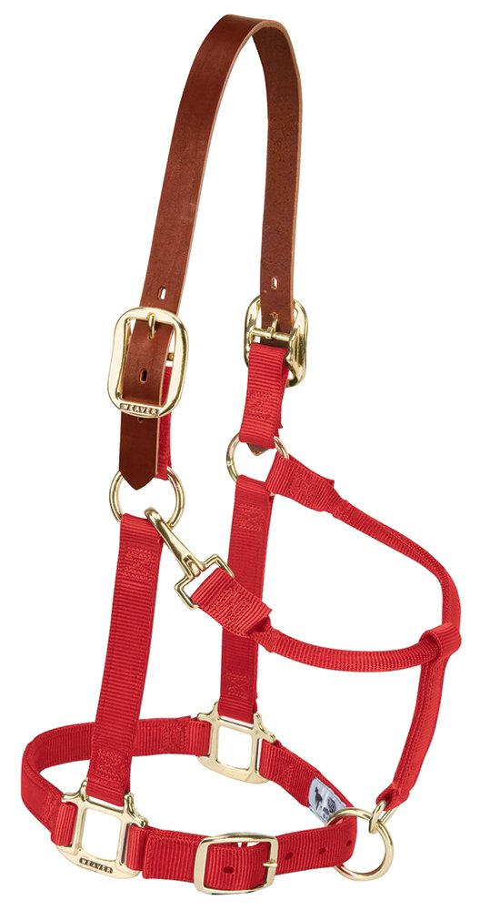 Weaver Leather Nylon Adjustable Breakaway Horse Halter, Small, Red — image 1