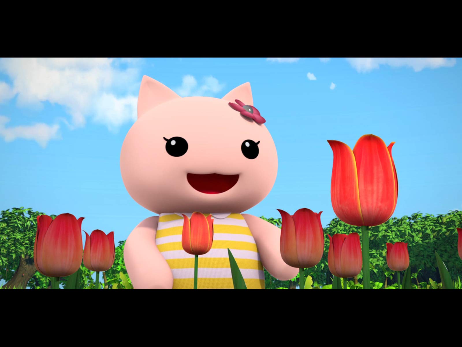 Amazon Co Jp ほしの島のにゃんこを観る Prime Video