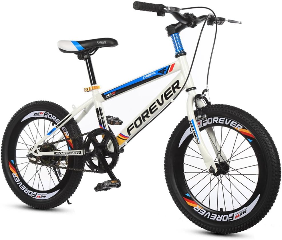 dirt bike singlespeed