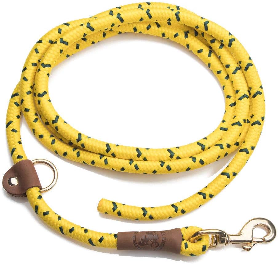 ez lead dog leash
