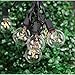 25Ft G40 String Lights with 25 Edison Style Globe bulbs -Black 25 foot Outdoor Light String