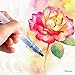 Soucolor Water Coloring Brush Pens, Set of 6 Brush Tips for Watercolor Painting, Water Soluble Pencils, Brush Pens, Markers, Solid Colors or Powdered Pigment