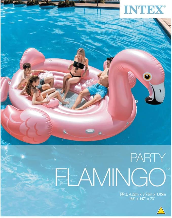 intex flamingo