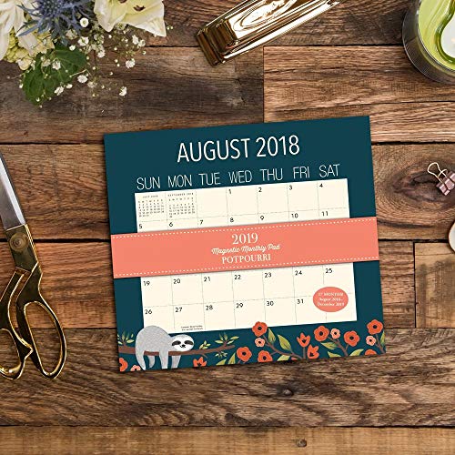 Orange Circle Studio 2019 Magnetic Monthly Calendar Pad, August 2018 - December 2019, Potpourri