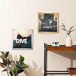 eletecpro 12.5x12.5 Record Frame, Silver, Sturdy