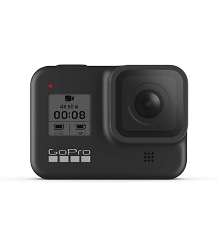 Amazon.com : GoPro HERO8 Black Action Camera Bundle with Dual