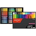 CREATIVE ART MATERIALS Caran D'ache Neopastel Oil Pastels Set/48 (7400.348)