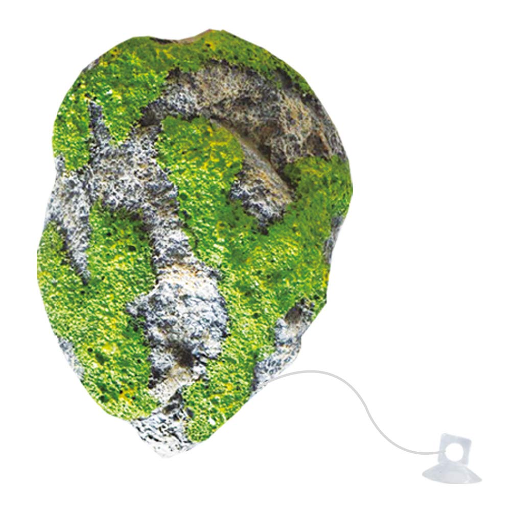 wave Floating Rock Beauty Ornaments, Large