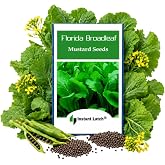 500 Florida Broadleaf Mustard Seeds | Non-GMO | Heirloom | Instant Latch Garden Seeds