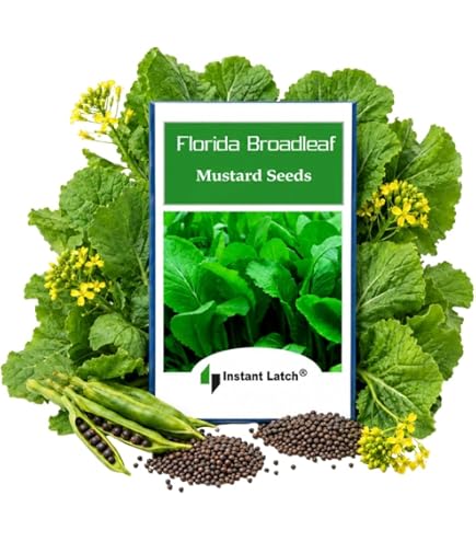 Amazon.com : 100+ Yu Choy Sum Seeds - Jung Green - Vegetable Seeds for  Planting Outdoor Home Gardens | Planting Instructions Included : Patio,  Lawn & Garden