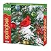 Springbok Puzzles - Nature's Ornament - 1000 Piece Jigsaw Puzzle - Large 24 Inches by 30 Inches Puzzle - Made in USA - Unique Cut Interlocking Pieces