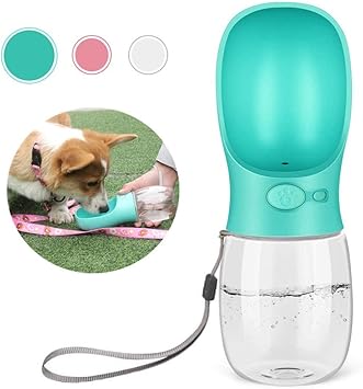 royal canin cat food walmart