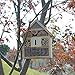 B&P Bee House, Natural Wooden Insect House Garden Bug Hotel, Perfect Shelter for Bees,Butterflies and Ladybugs, Size 8.66 x 7.48 x 2.76 inch