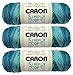 Caron Simply Soft Ombres Yarn (3-Pack) Teal Zeal 294008-8701