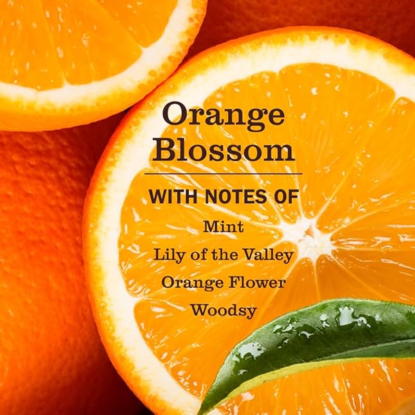 MRS. MEYER’S CLEAN DAY PET STAIN & ODOR FIGHTER, ORANGE BLOSSOM SCENT, 16OZ