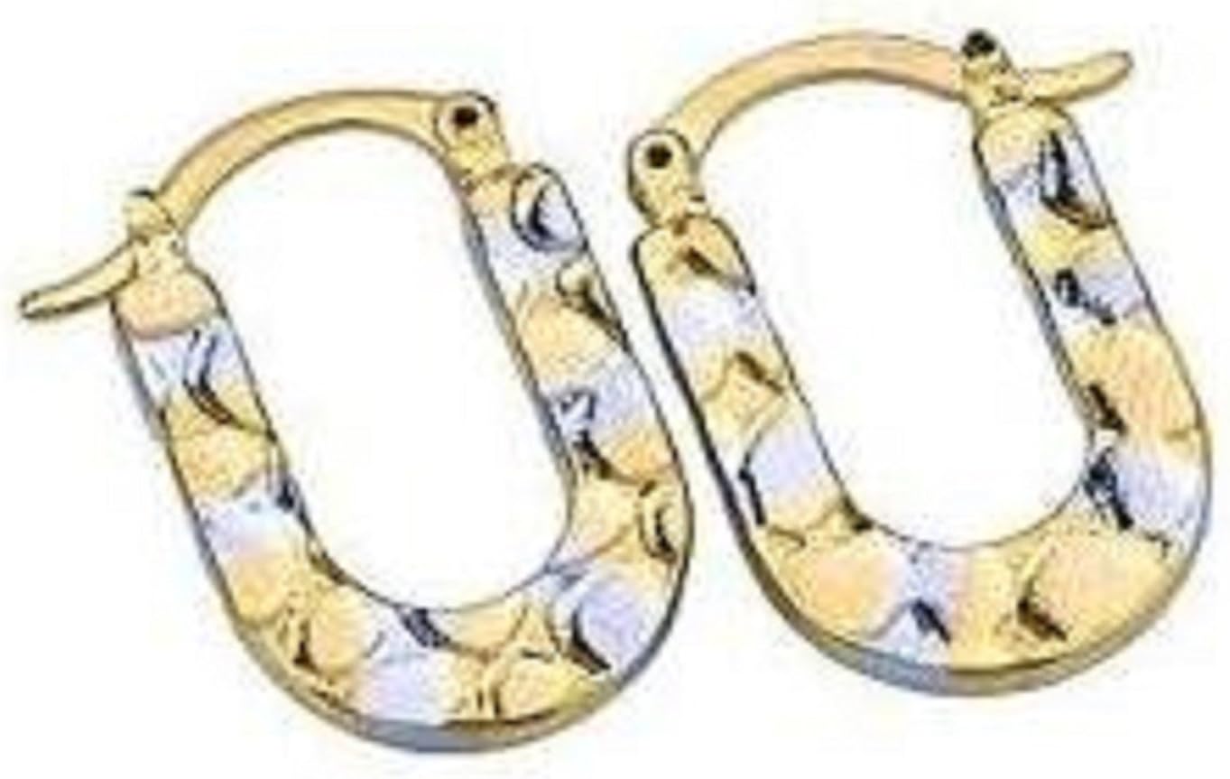 Horseshoe Hoop Earrings with TwoTone Shoehorse Jewelry