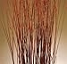 Green Floral Craft | 90-100 Stem Dried Asian Willow Decorative Branches 4-5 Feet Tall - Perfect Home Decoration and Floor Vase Filler (Burnt Red Orange)