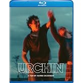 Urchin