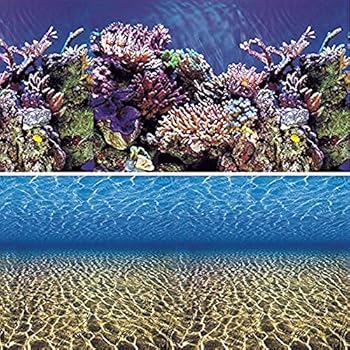 Amazon.com : Penn-Plax SpongeBob Squarepants Beach ...