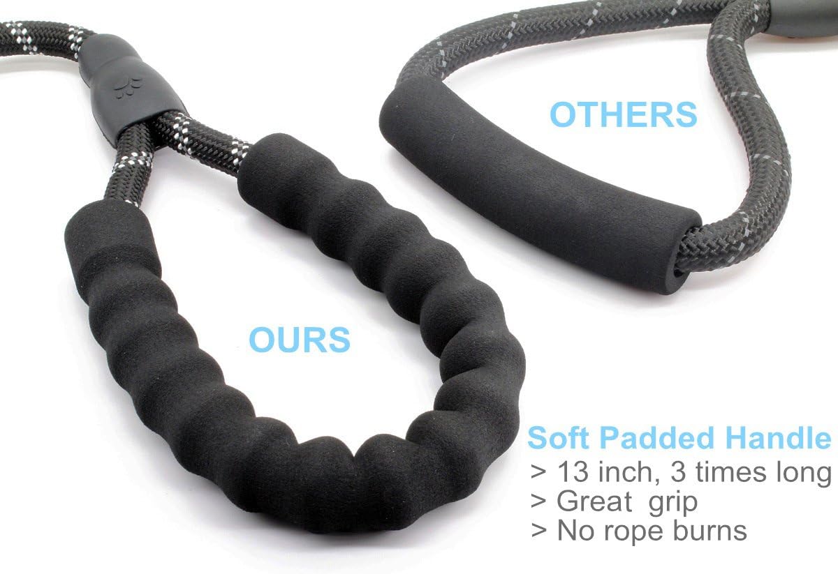 BAAPET 5 FT Strong Dog Leash with Comfortable Padded Handle and Highly Reflective Threads for Medium and Large Dogs (Black) : Pet Supplies