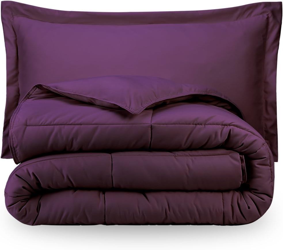 Ivy UnionTwin Solid Comforter & Sham Set - Plum